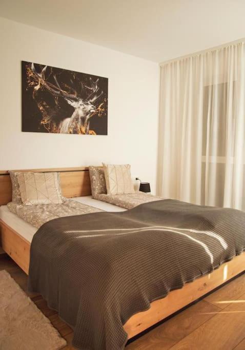 5 Dream Apartment 5 Cu Parcare Privata Орадя Екстер'єр фото